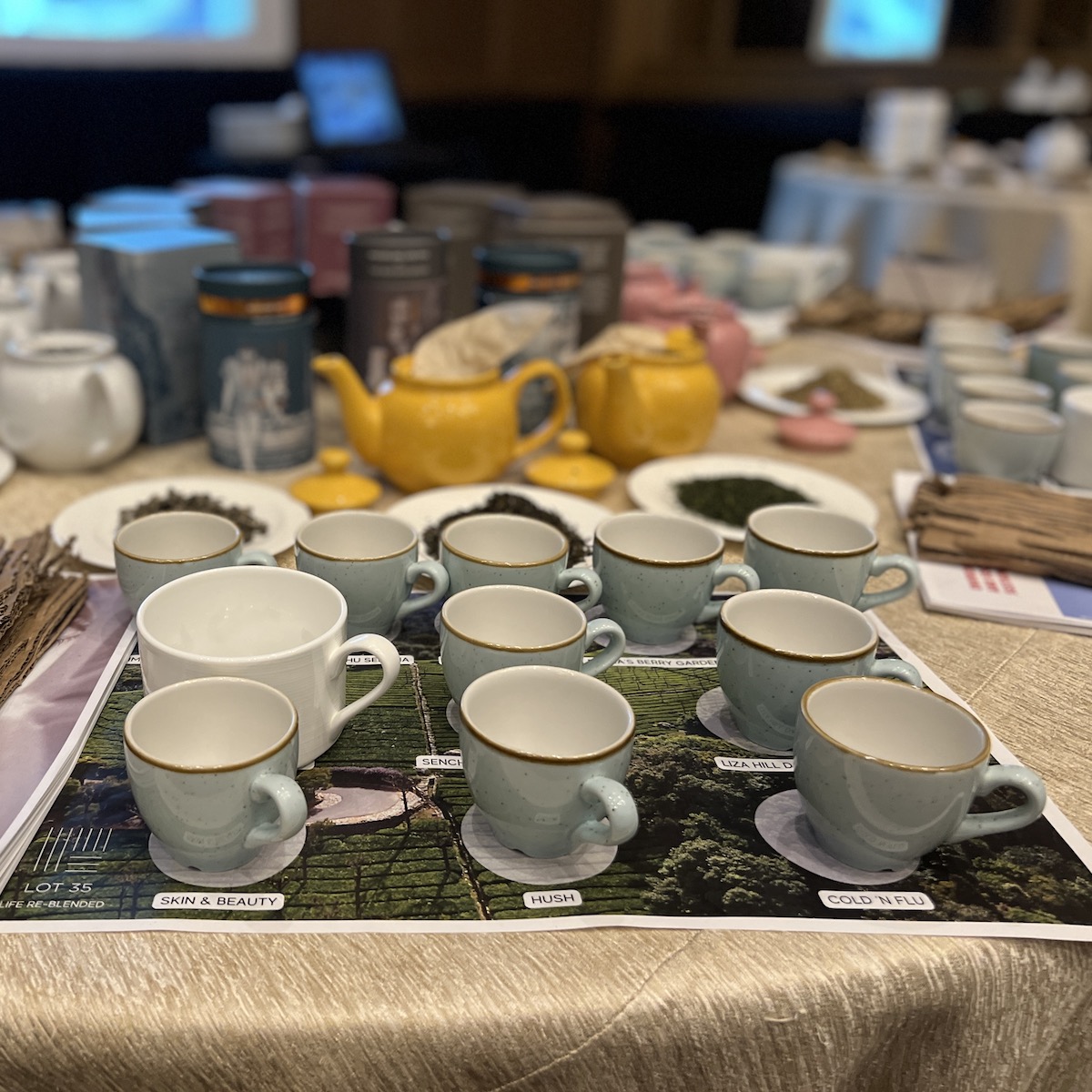 Tea cups and pots for a Tea Sommelier Workshop