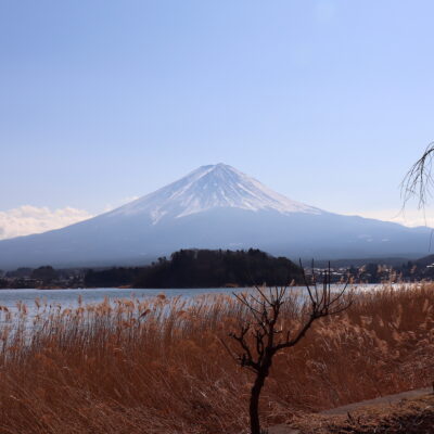 Mt. Fuji from the Kawaguchiko Natural Living Center on Lake Kawaguchiko's north shore