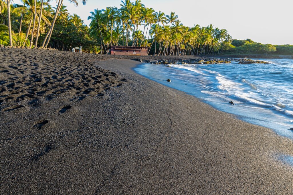 Punalu'u Black Sand Beach on the Big Island